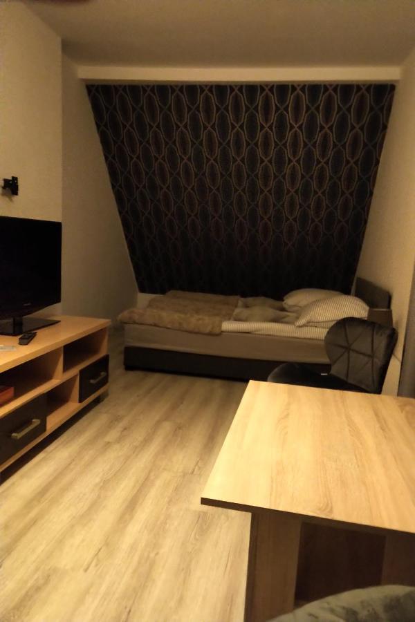 Willa Gorzow-Spokojna Okolica! Gorzow Wielkopolski Bagian luar foto